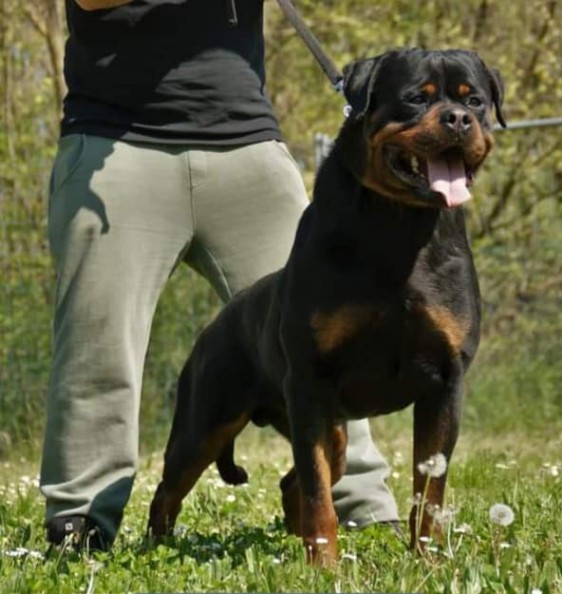 DIGOS DI CASA SAMBUCA