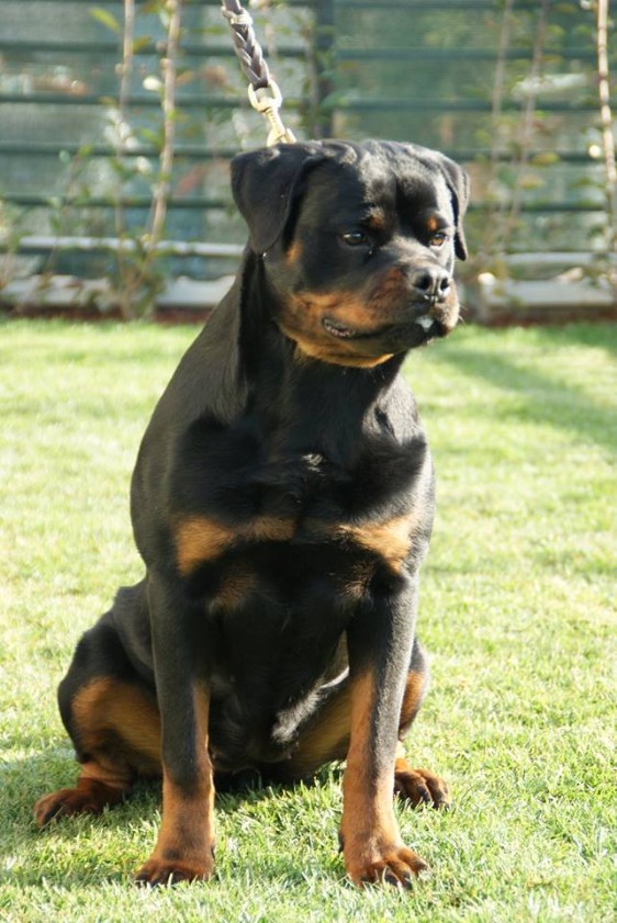 ASTRID DI CASA SAMBUCA